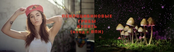 дмт Алексеевка