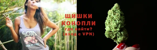 сатива Абдулино