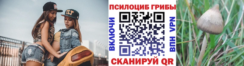 Псилоцибиновые грибы мицелий  blacksprut tor  Кочубеевское  где можно купить наркотик 